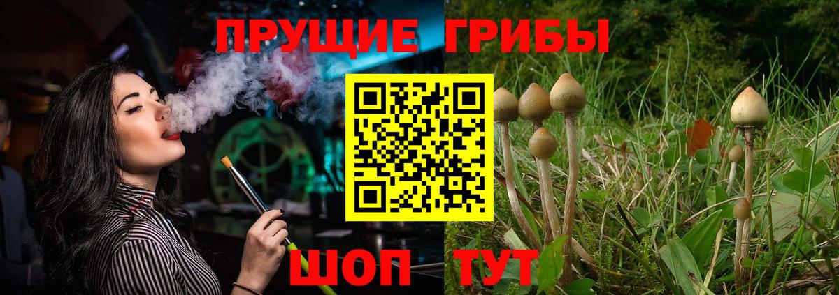 Псилоцибиновые грибы MAGIC MUSHROOMS  Вход с VPN  Пушкино 